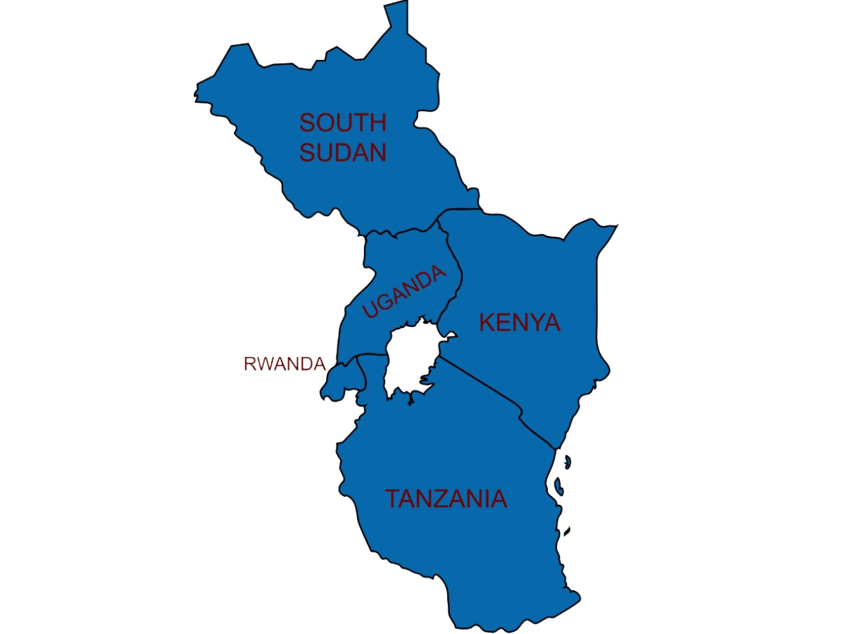 Managed It services East Africa